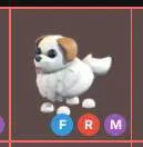 รายการภาพถ่าย