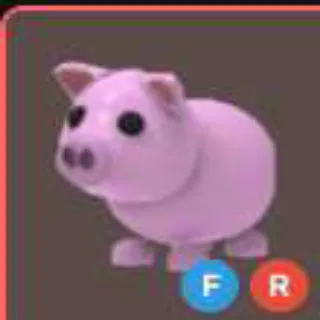 FR Pig
