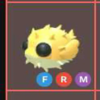 Mfr Puffer Fish