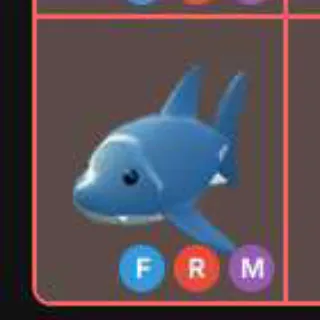 Mfr Shark