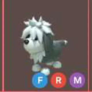 Mega English Sheepdog