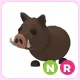 NR Wild Boar
