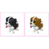 Black & Brown Springer Spaniel