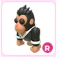 R Karate Gorilla