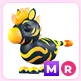MR Flaming Zebra