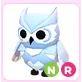 NR Snow Owl