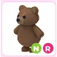 NR Brown Bear