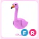 FR Flamingo