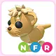 NFR Lion Cub