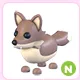 N Coyote