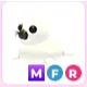 MFR Harp Seal