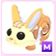 M Bunny Swirl