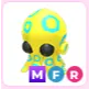 MFR Blue Ringed Octopus