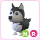 NR Husky
