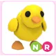 NR Chick