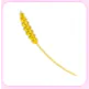 Golden Wheat