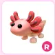 R Axolotl