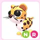 NR Cheetah