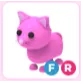 FR Pink Cat