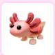 Axolotl