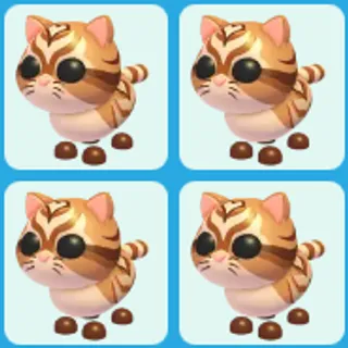 x4 Catte