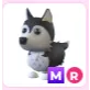MR Husky