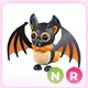 NR Indian Flying Fox