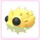Puffer Fish