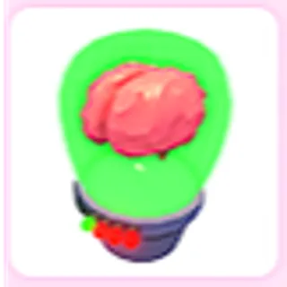 Brain Jar