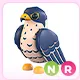 NR Peregrine Falcon