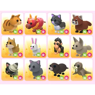 x12 Random NR Pets