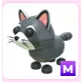 M Raccoon