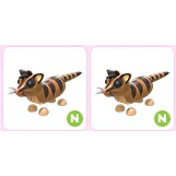 x2 N Banded Palm Civet