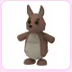 Kangaroo