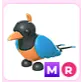 MR Bird of Paradise
