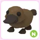 N Platypus