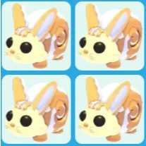 x4 Bunny Swirl