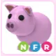 NFR Pig