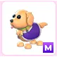 M Therapy Dog