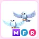 MFR Turtle Dove