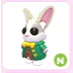 N Mr. Whiskerpips