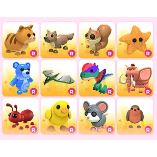 x12 Random R Pets