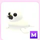 M Harp Seal