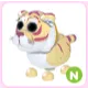 N Lunar Gold Tiger