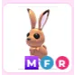 MFR Hare