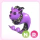 NR Capricorn