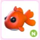 N Goldfish