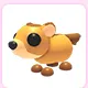 Groundhog