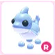 R Shark Puppy