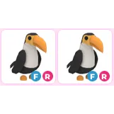 x2 FR Toucan